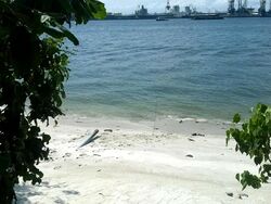 Blk 442A Punggol Point Cove (Punggol), HDB 4 Rooms #511689231